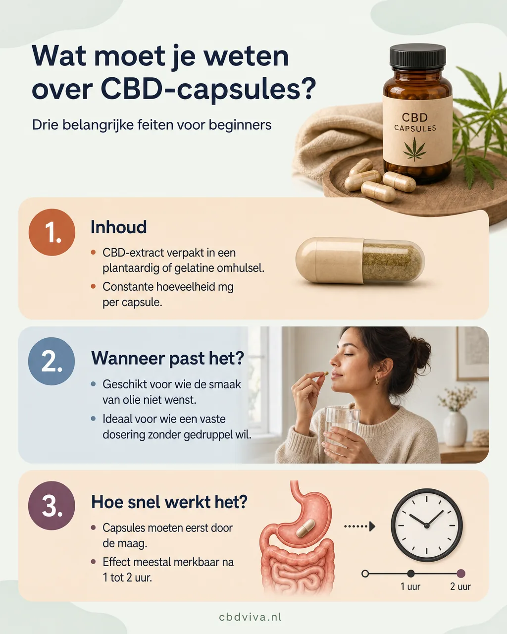 CBD-capsules in drie feiten — inhoud, wanneer past het, hoe snel werkt het