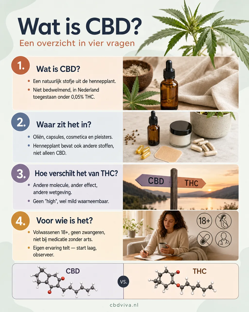 CBD in vier vragen — overzicht van wat CBD is en waar het in zit